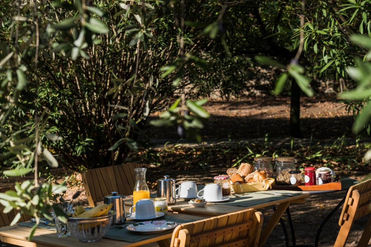 La Closerie Des Iris Bed & Breakfast Castelnau-d'Aude Eksteriør bilde